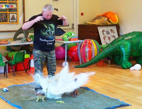 Dinoman – kids party entertainer