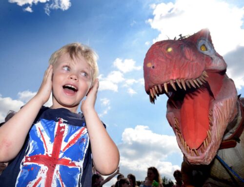 Dinosaur Parties indoor and outdoor fun